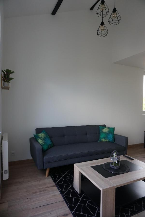 Appart Cosy 4 Personnes Avec Terrasse 永河畔拉罗什 外观 照片